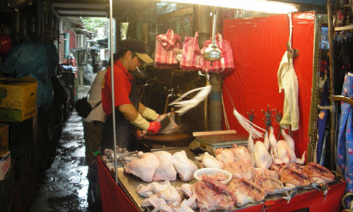 DSCN2003.jpg