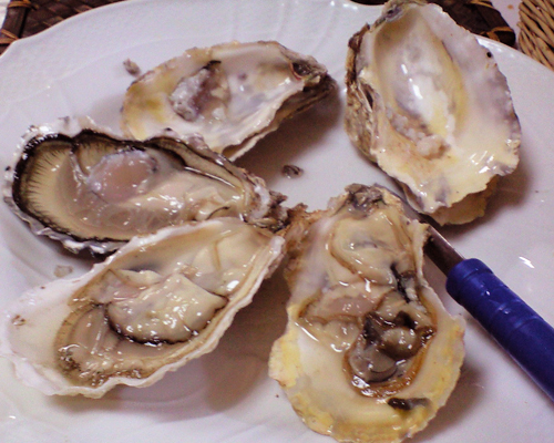 081201_oysrer3.jpg