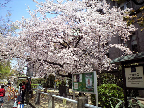 090408_odc1.jpg
