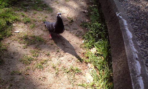 090411_hakata4.jpg