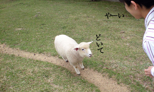 090505_rokko10_2.jpg