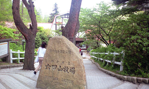 090505_rokko8.jpg