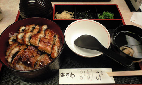 090820_ogawa.jpg