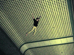 3_tram1.jpg