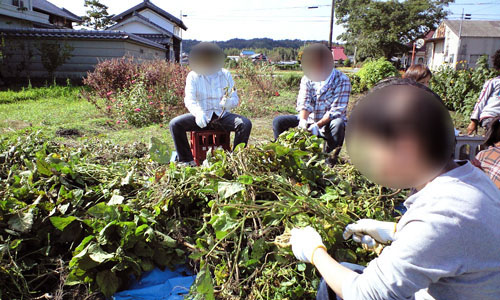 CA392619.jpg