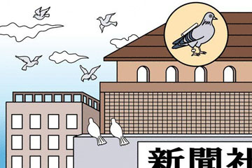 hato.jpg