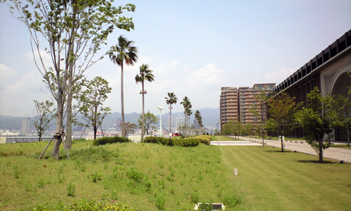 kgu2.jpg