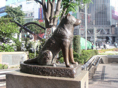 hachi.jpg